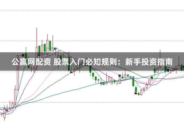 公赢网配资 股票入门必知规则：新手投资指南
