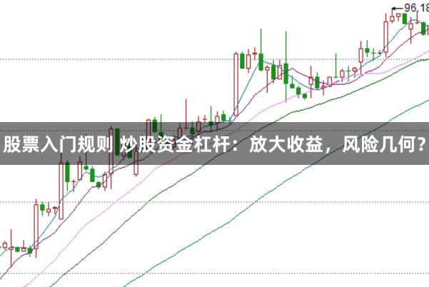 股票入门规则 炒股资金杠杆：放大收益，风险几何？