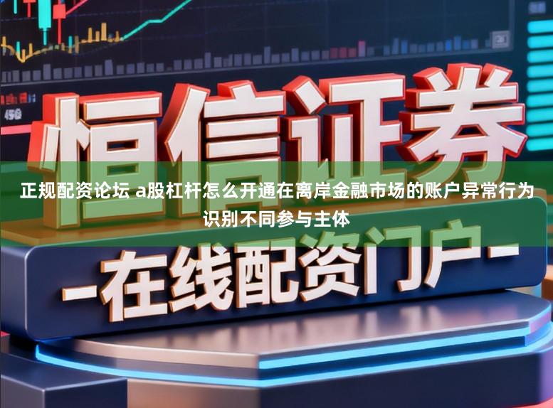 正规配资论坛 a股杠杆怎么开通在离岸金融市场的账户异常行为识别不同参与主体