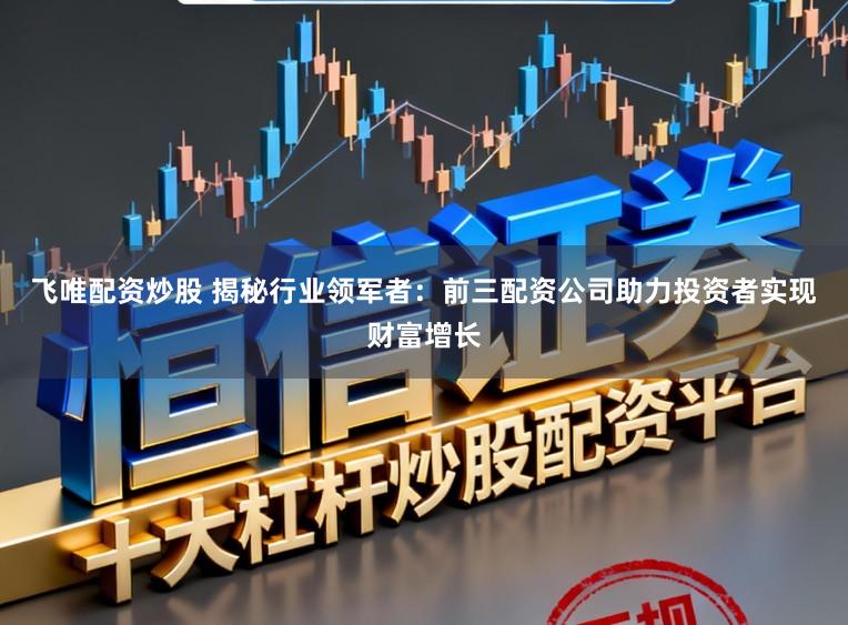 飞唯配资炒股 揭秘行业领军者：前三配资公司助力投资者实现财富增长